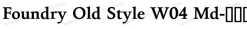 Foundry Old Style W04 Md字体转换